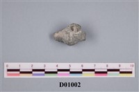 藏品(苔蘚蟲)的圖片